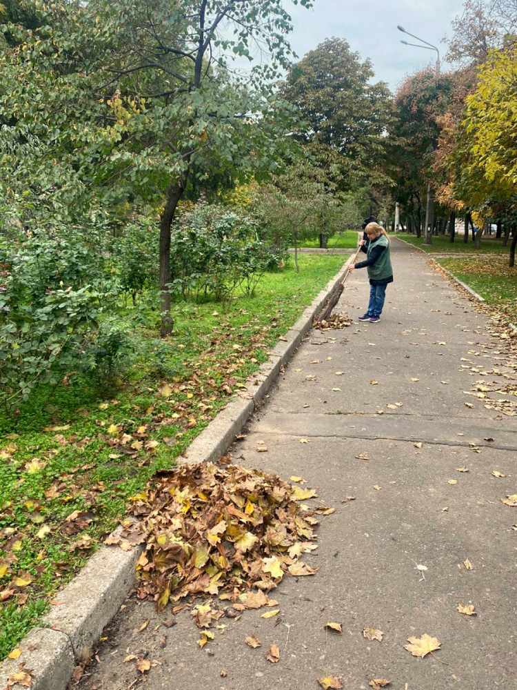 image for slide