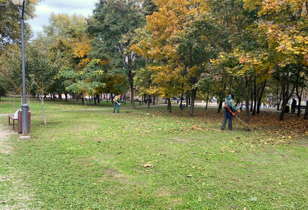image for slide