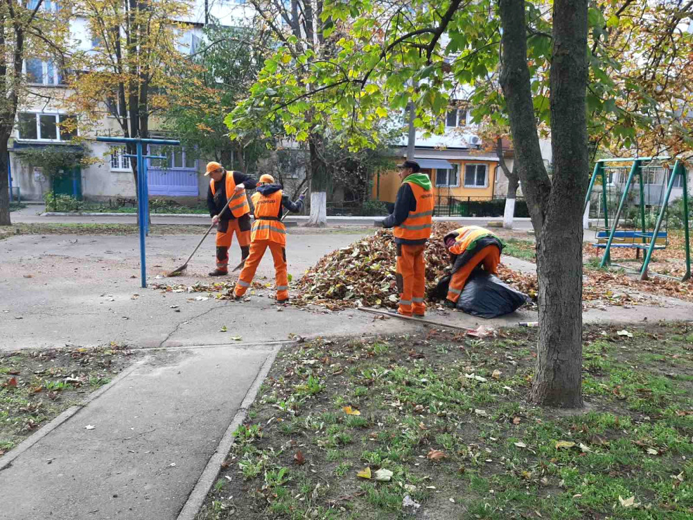 image for slide