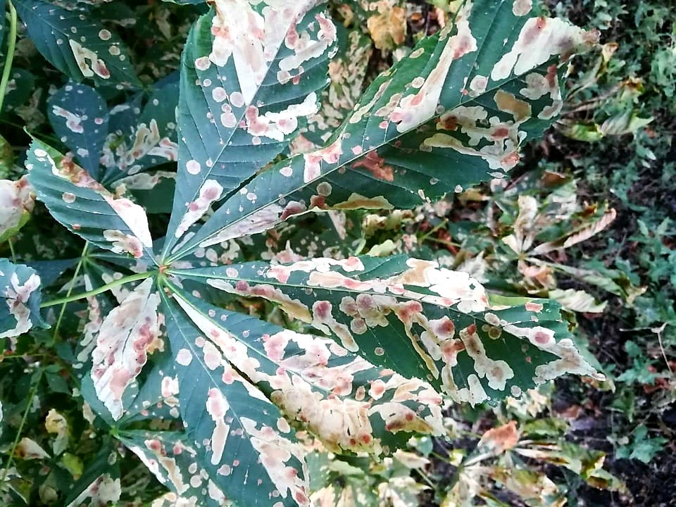 image for slide
