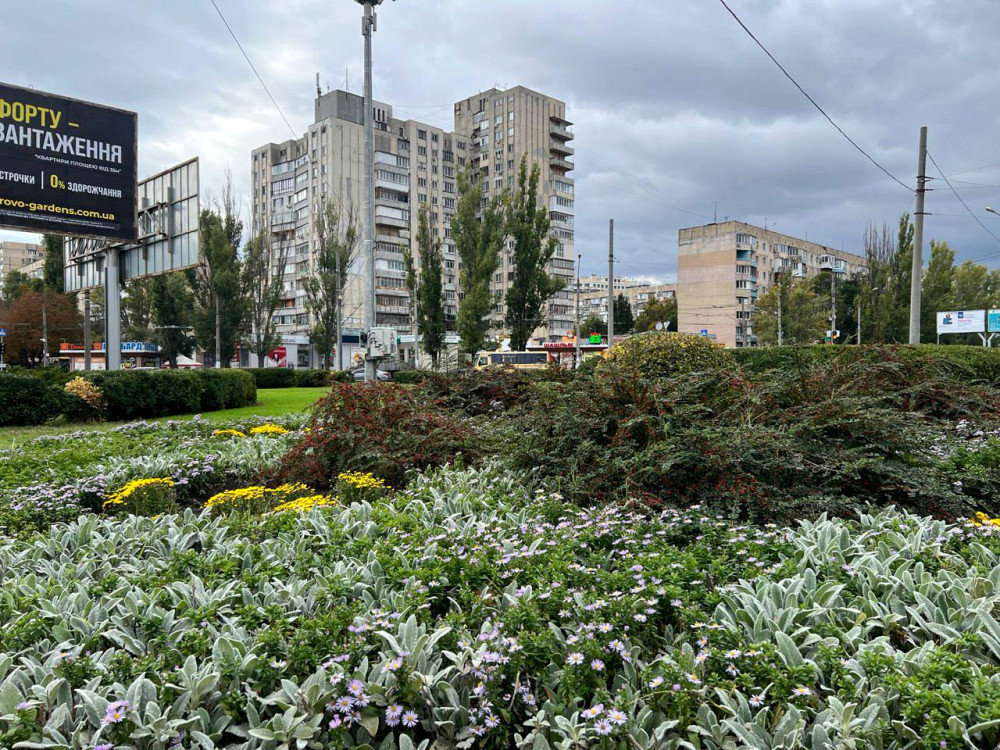 image for slide
